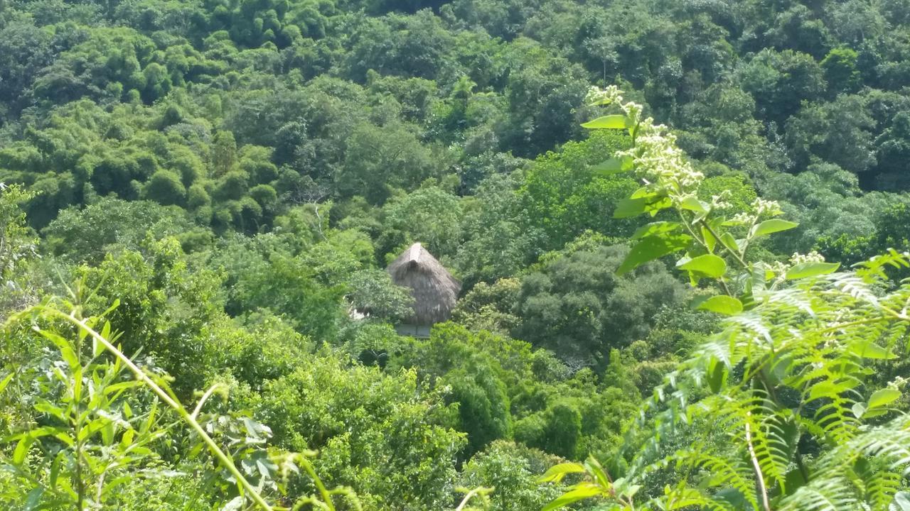 Glamping Minca