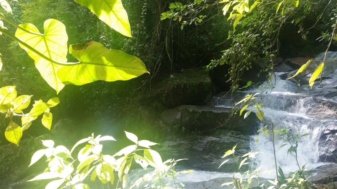 Glamping Lodge Minca