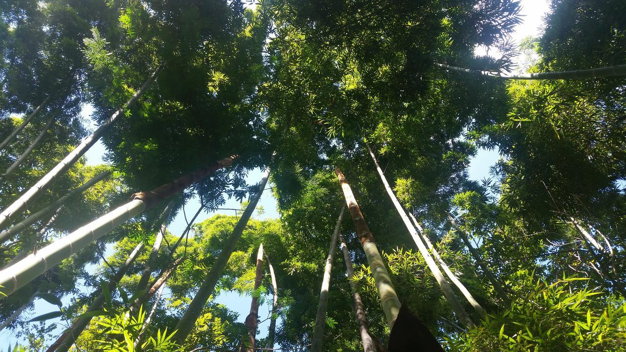 Glamping *
