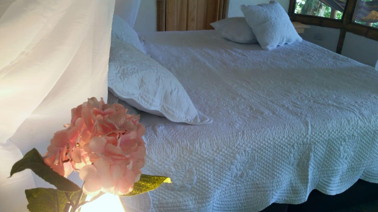 Lodge Glamping