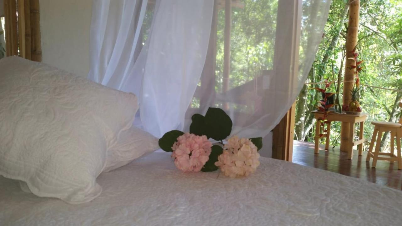 Glamping * Minca