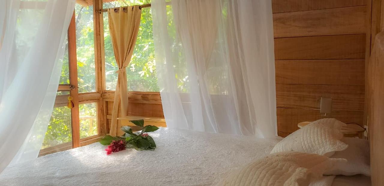 Lodge Glamping